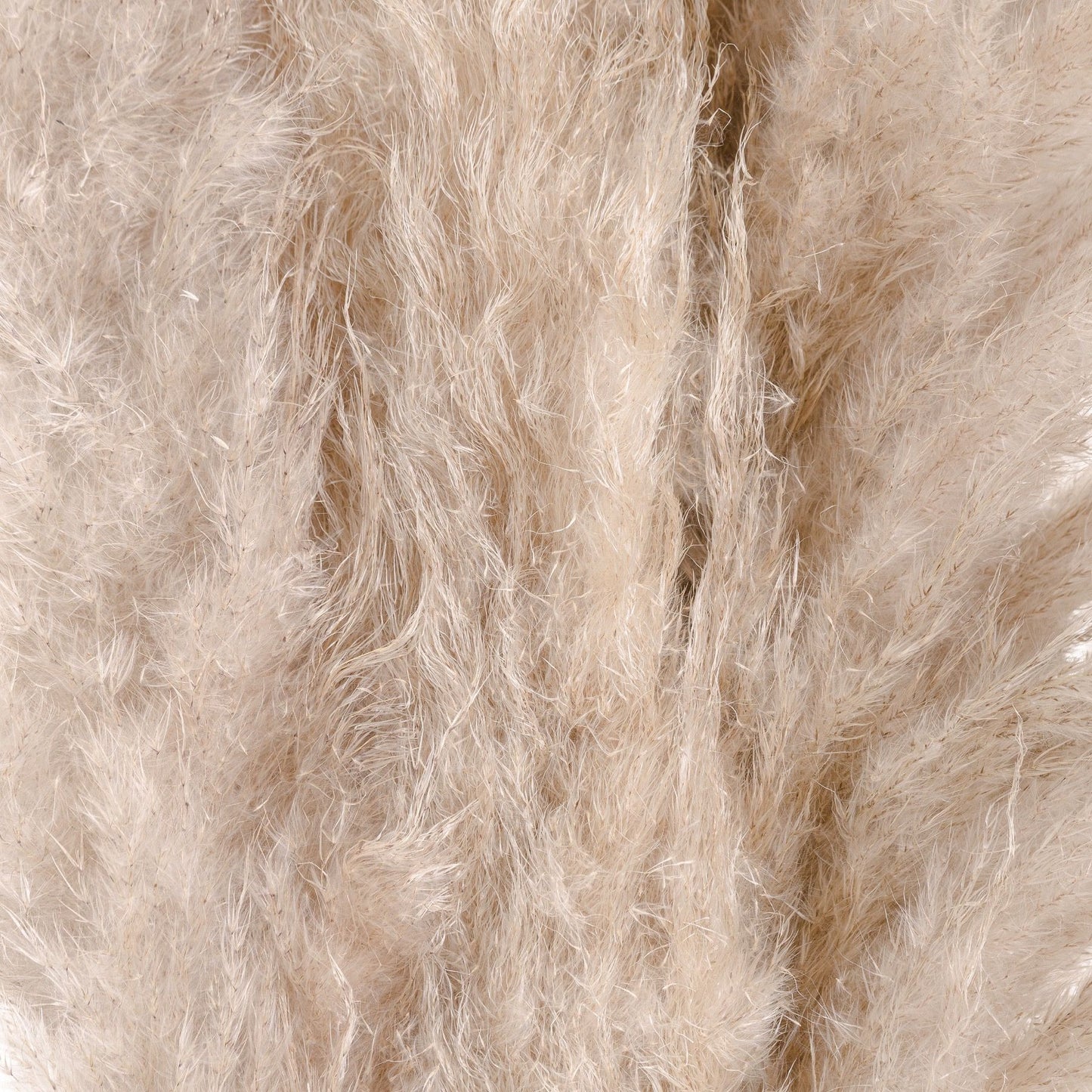 Oatmeal Tall Fluffy Natural Pampas