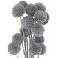 Dried Grey Billy Ball Bunch of 20