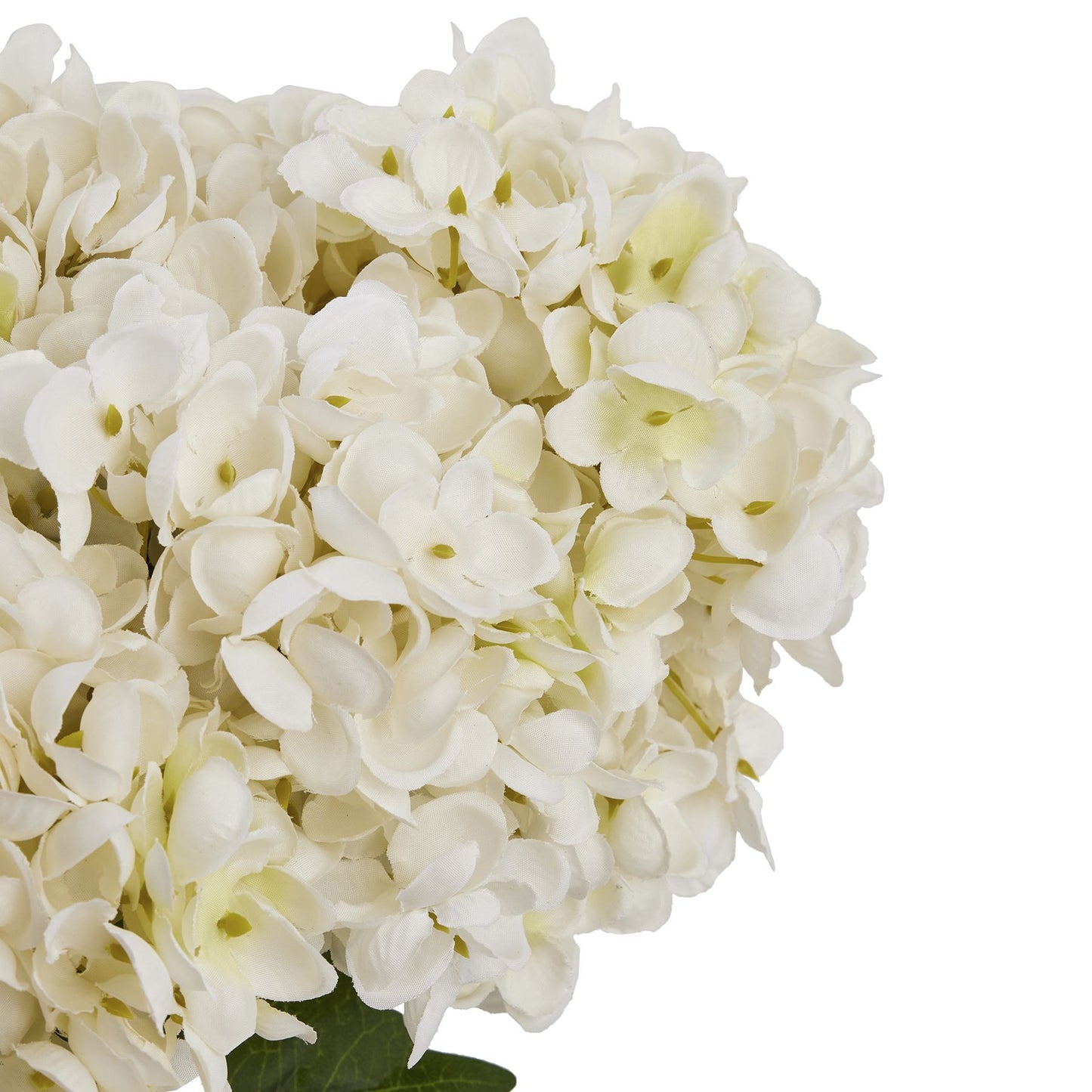 White Hydrangea Bunch