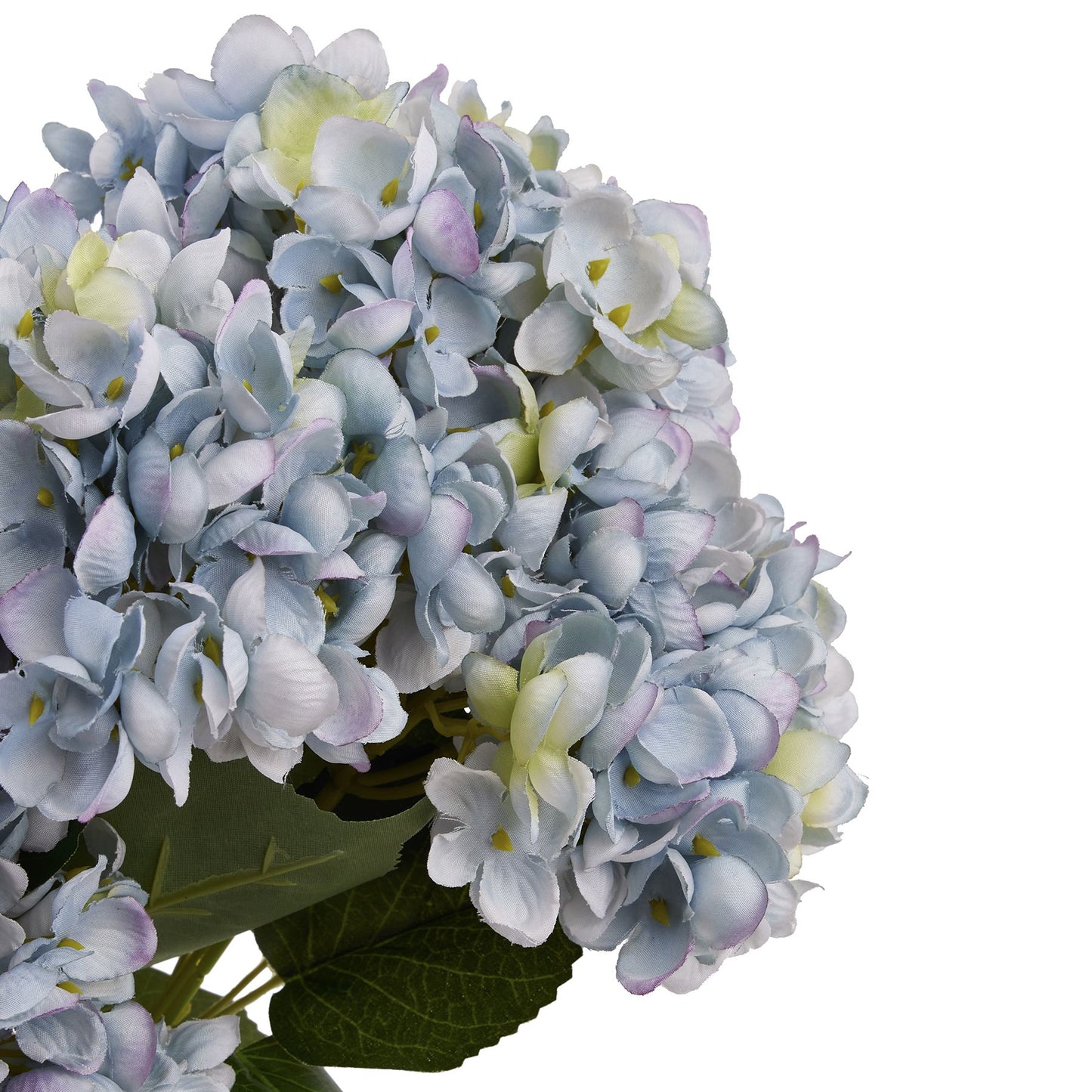 Blue Hydrangea Bunch