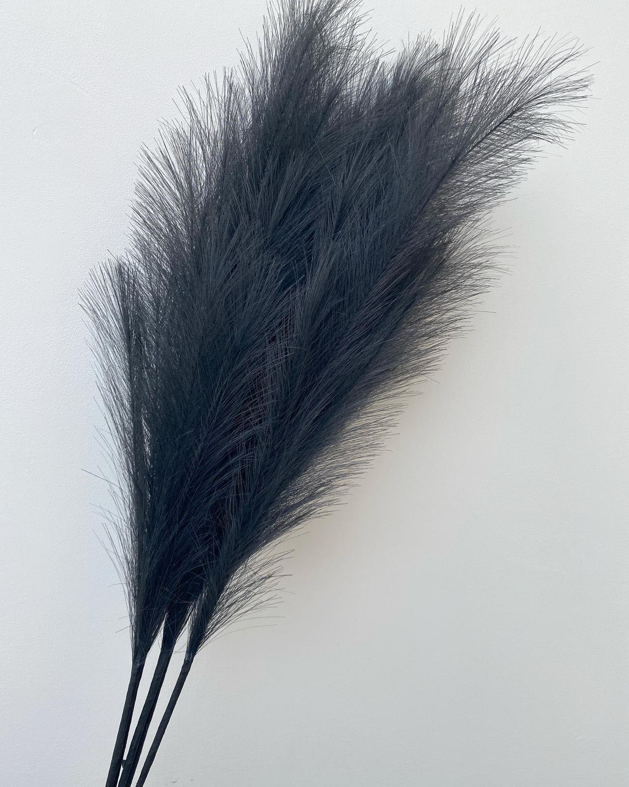 Black Tall Fluffy Faux Pampas